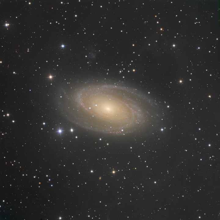 M 81